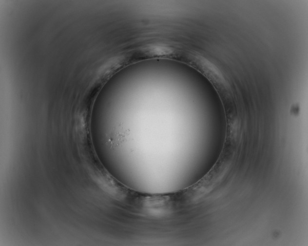 X0000101660373200807101300