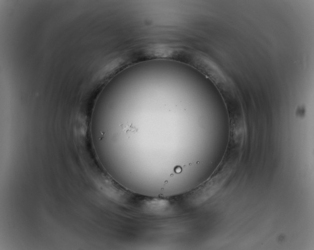 X0000101660374200807101300