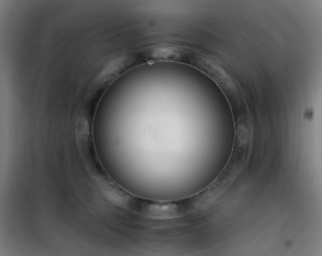 X0000101660375200807101300