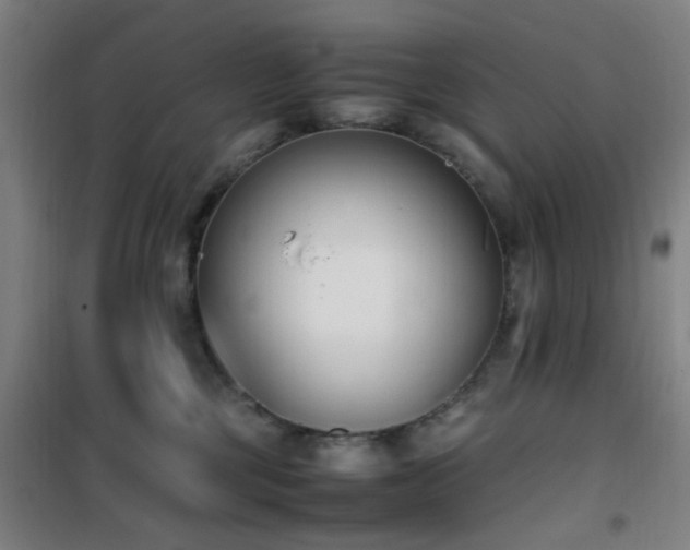 X0000101660377200807101300