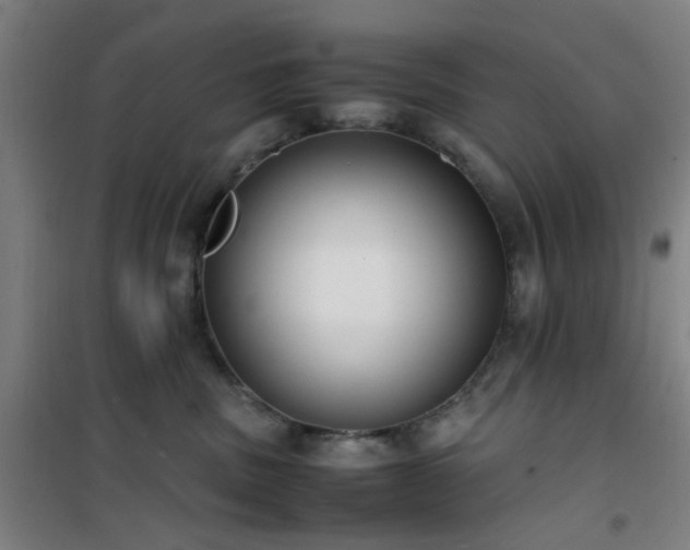 X0000101660379200807101300