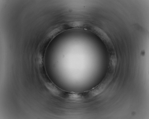 X0000101660380200807101300