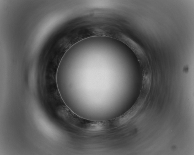 X0000101660381200807101300