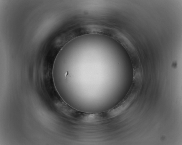 X0000101660382200807101300