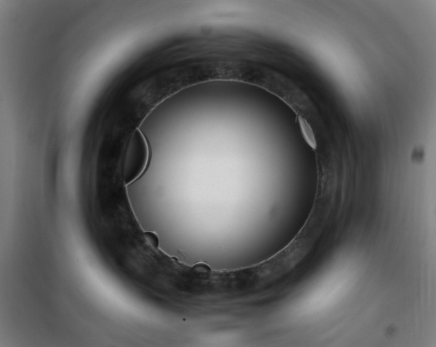 X0000101660383200807101300