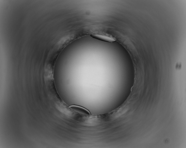 X0000101660384200807101300