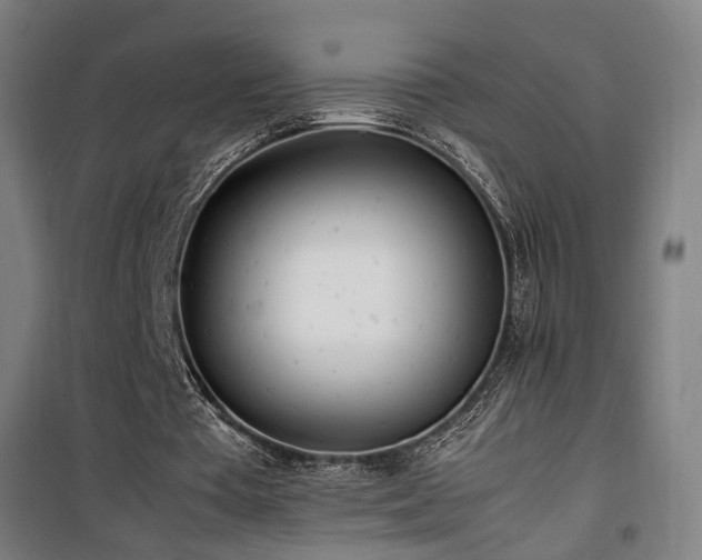 X0000101660385200807101259