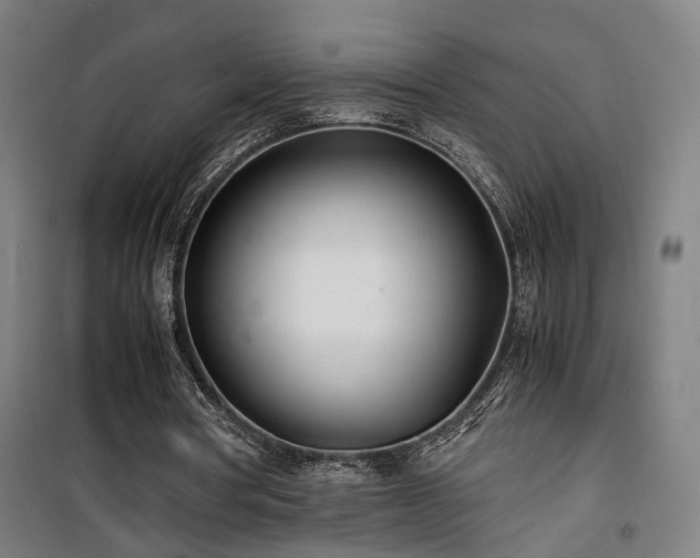 X0000101660386200807101259