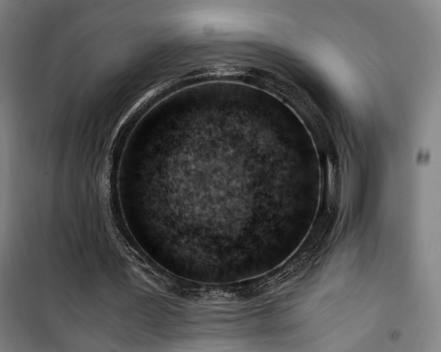 X0000101660387200807101259