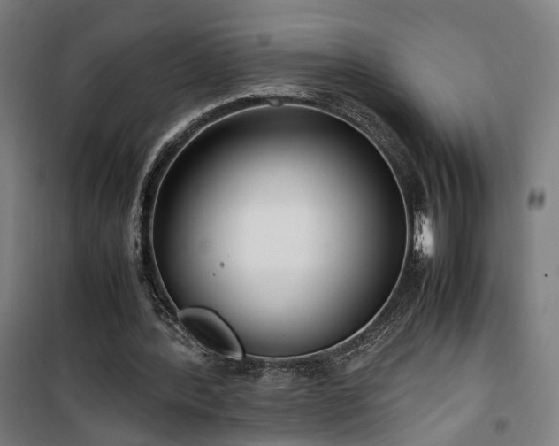 X0000101660388200807101259