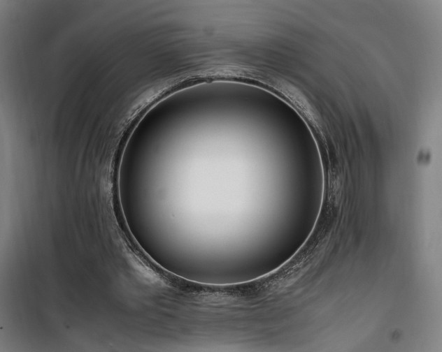 X0000101660389200807101259