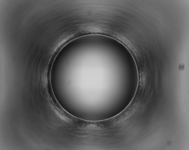 X0000101660390200807101259