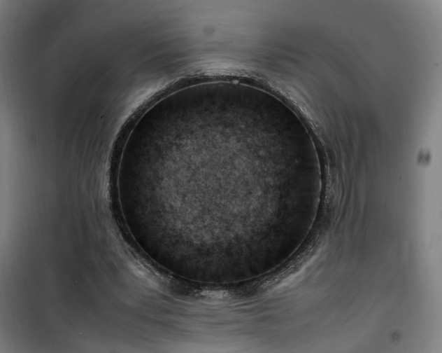 X0000101660391200807101259