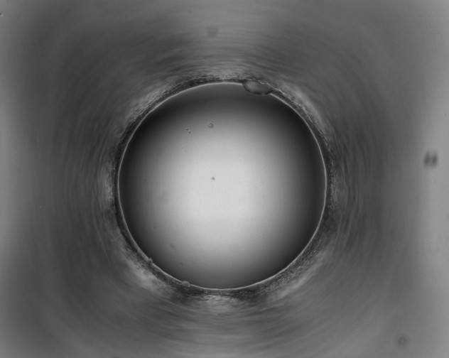 X0000101660393200807101259