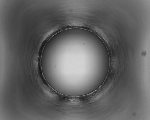 X0000101660395200807101259