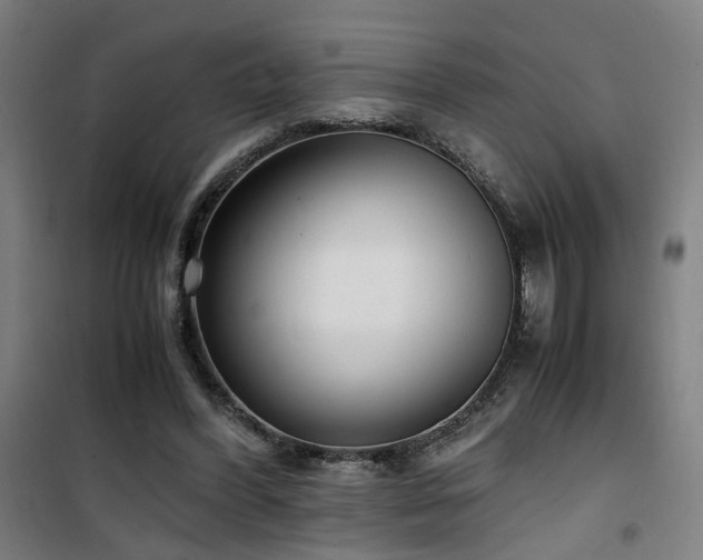 X0000101660396200807101259