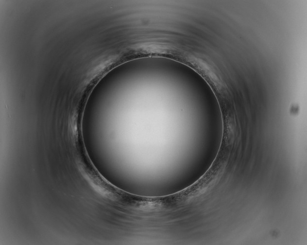 X0000101660398200807101259