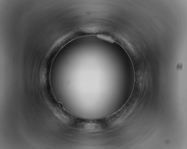 X0000101660400200807101259