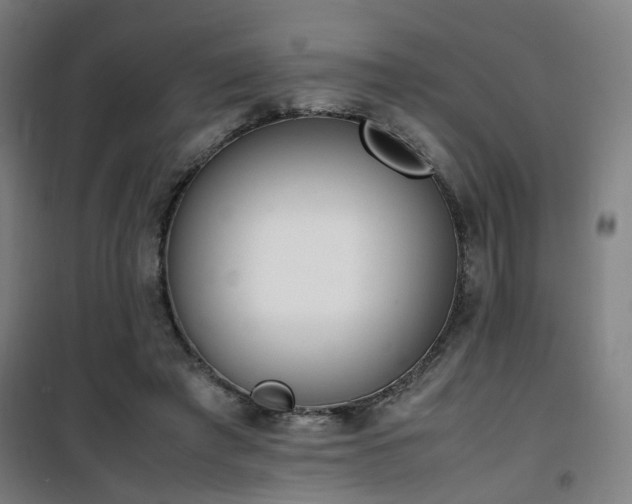 X0000101660401200807101259