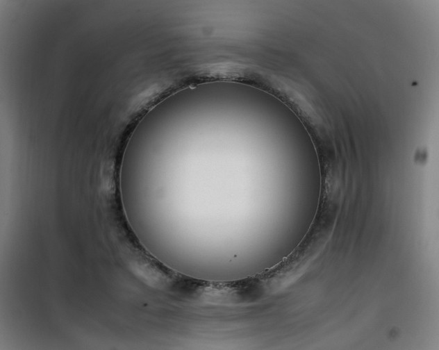 X0000101660403200807101259