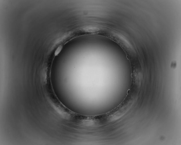 X0000101660404200807101259