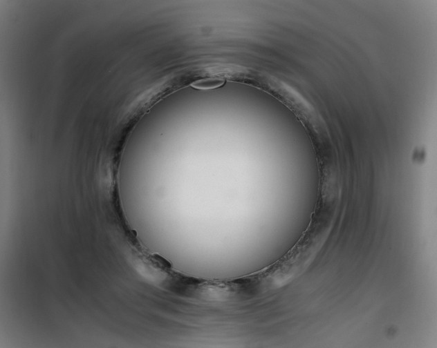 X0000101660405200807101259