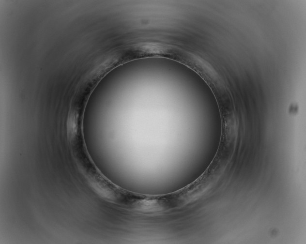 X0000101660406200807101259