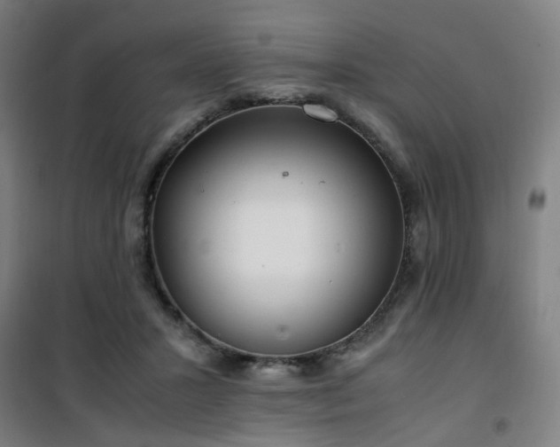 X0000101660407200807101259