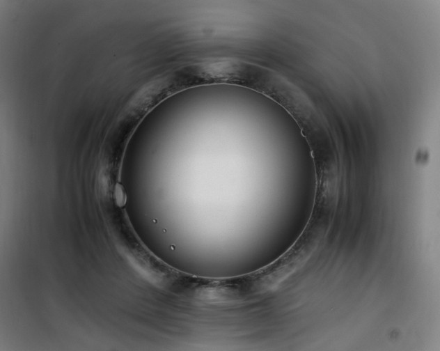 X0000101660408200807101259