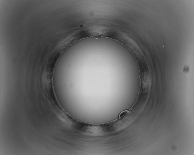 X0000101660409200807101259