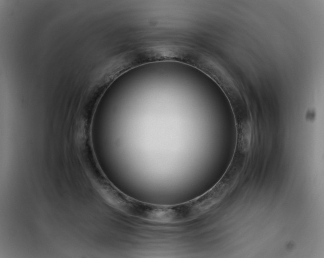 X0000101660410200807101258