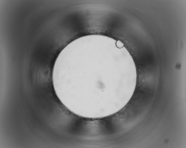 X0000101660411200807101258