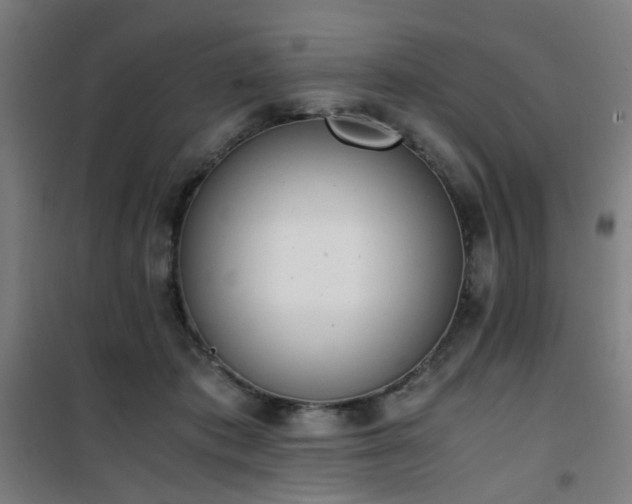 X0000101660413200807101258