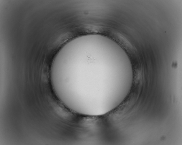 X0000101660414200807101258