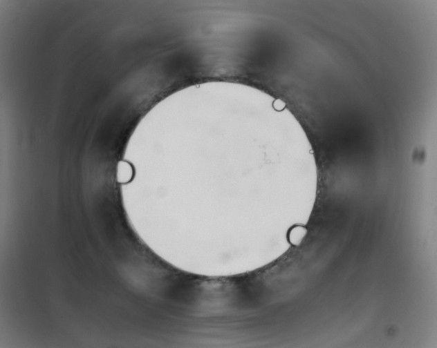 X0000101660415200807101258