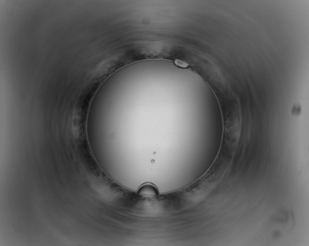 X0000101660416200807101258