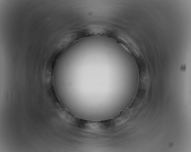 X0000101660417200807101258