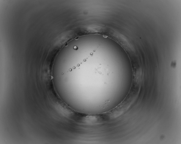 X0000101660418200807101258