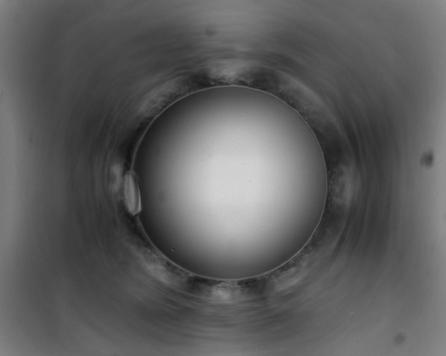 X0000101660420200807101258