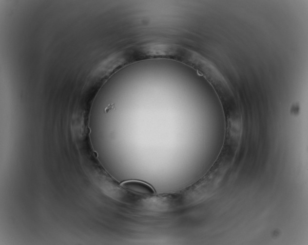 X0000101660422200807101258