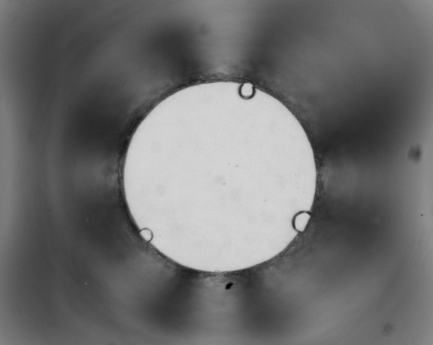 X0000101660423200807101258