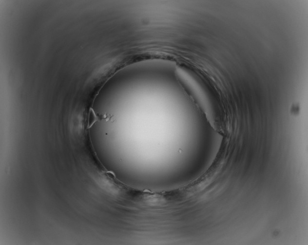 X0000101660424200807101258