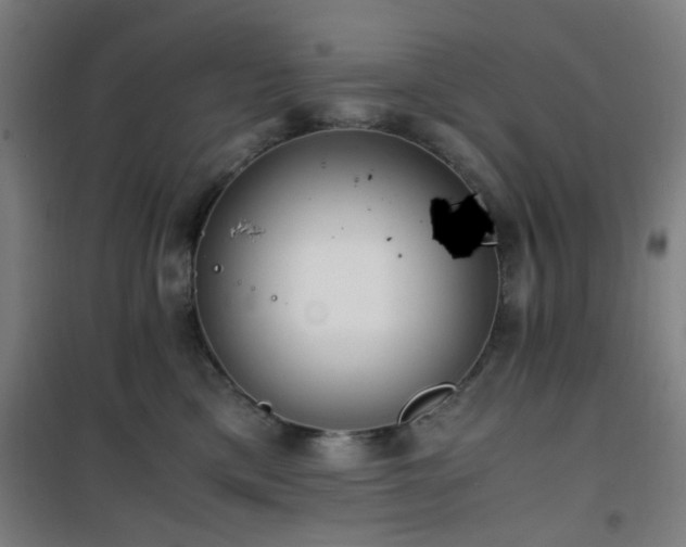 X0000101660425200807101258