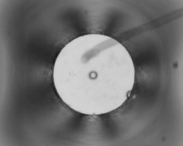 X0000101660427200807101258