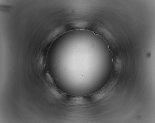 X0000101660428200807101258