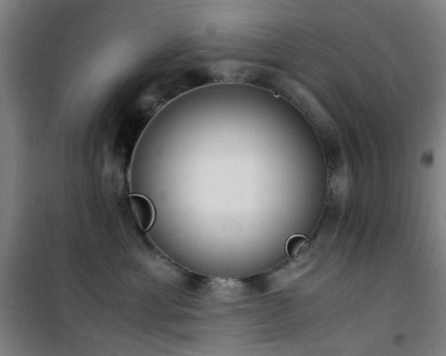 X0000101660429200807101258