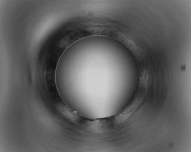 X0000101660430200807101258