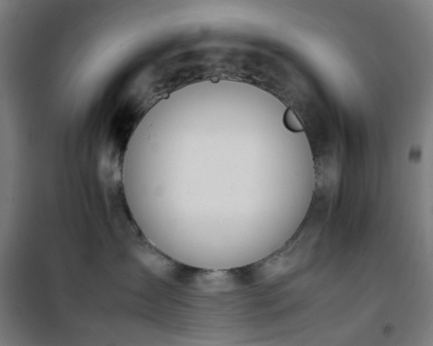 X0000101660431200807101258