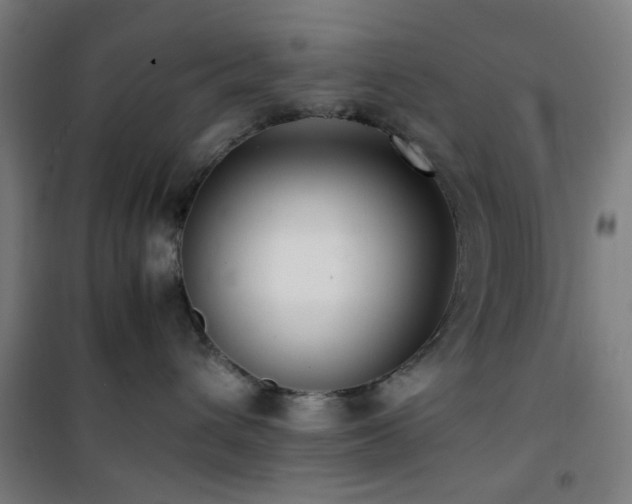 X0000101660432200807101258