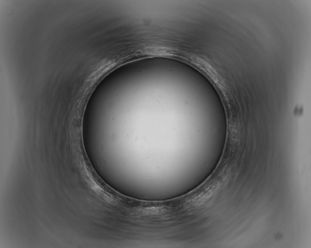 X0000101660433200807101258